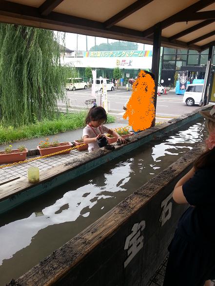 河口湖の石ころ館 内気なパパのイクメン子育てブログ